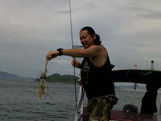 12062011322_640.jpg