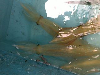 17072011345_640.jpg
