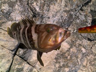 27052011303_640.jpg