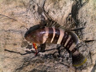 27052011304_640.jpg