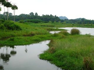 IMG_0542_640.jpg
