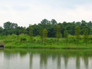 IMG_0547_640.jpg
