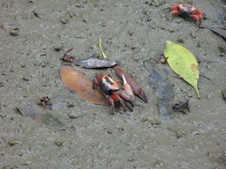 IMG_0553_640.jpg