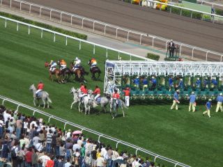 IMG_1887_320.jpg
