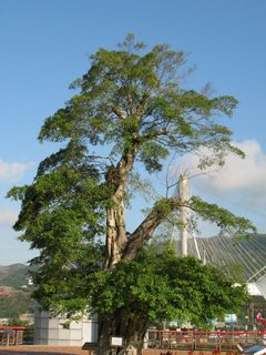 IMG_3239_640.jpg