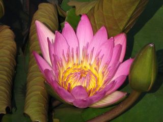 IMG_3316_640.jpg