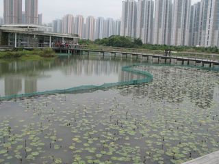 IMG_3318_640.jpg
