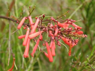 IMG_3323_640.jpg