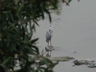 IMG_3327_640.jpg