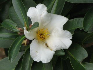 IMG_3348_640.jpg