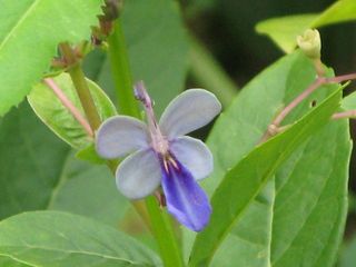 IMG_3357_640.jpg