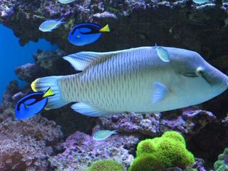 IMG_3393_640.jpg