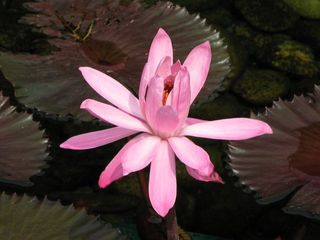 IMG_3818_640.jpg