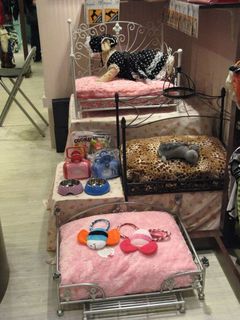 IMG_4398_640.jpg