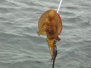 IMG_4663_640.jpg
