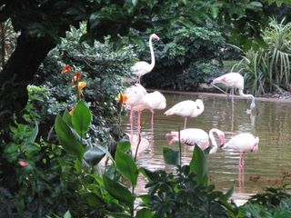 IMG_4672_640.jpg