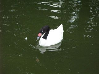 IMG_4679_640.jpg