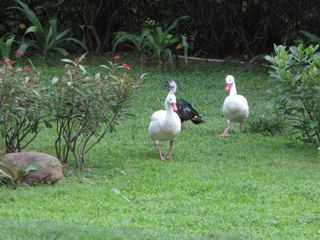 IMG_4680_640.jpg