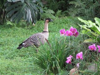 IMG_4682_640.jpg