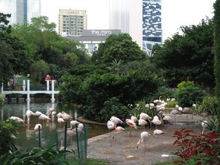 IMG_4683_640.jpg