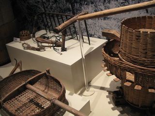 IMG_5303_640.jpg