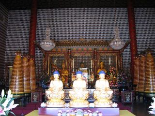 IMG_5384_640.jpg