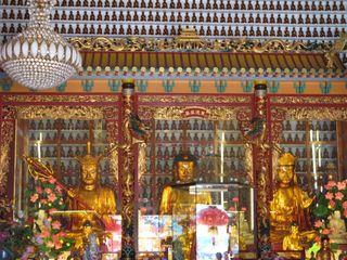 IMG_5391_640.jpg