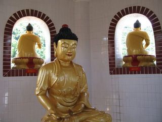 IMG_5401_640.jpg