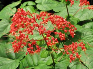 IMG_5516_640.jpg