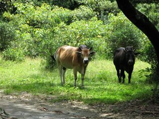 IMG_5518_640.jpg
