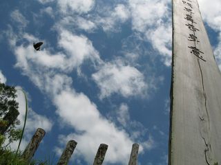 IMG_5589_640.jpg