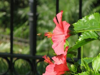 IMG_5961_640.jpg