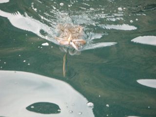IMG_6500_640.jpg