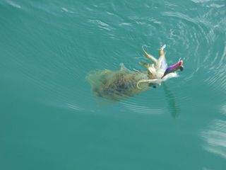 IMG_6512_640.jpg